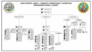 organizational chart jose l amante emergency hospital