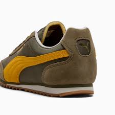 Image result for Citrus Gold 2001 Puma