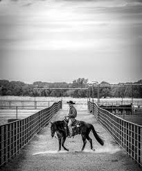 Image result for Opal Gray 1947 Dodge