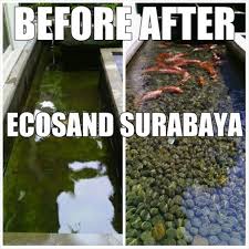 Kolam Ikan Dengan Biotech Ecosand Kolam Impian Anda Di Jamin Jernih Tanpa Kuras Dan Ribet Di Lapak Cahya Bukalapak