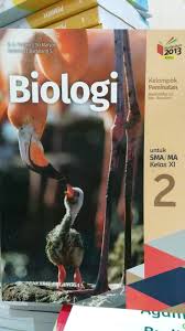 Download Buku Matematika Kelas 11 Kurikulum 2013 Penerbit Erlangga Pdf Siswapelajar News