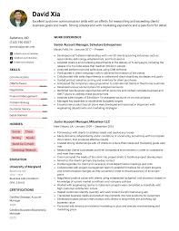 They serve as a liaison between the clients and the company's creative, sales. Account Manager Resume Example Writing Tips For 2021