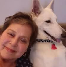 Hey all. Looking for a business in the Cheboygan area that provides  shoveling snow off residential roofs. Thank you.