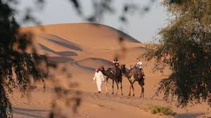 Aisyah, muhammad bin abu bakar, asma' binti abu bakar, abdullah ibn abi bakr, abdurrahman bin abi bakar, umm kulthum. Sahabat Abu Bakar Sidiq Biografi Menjadi Khalifah Dan Keberhasilan