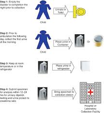 Image result for Isolated Proteinuria