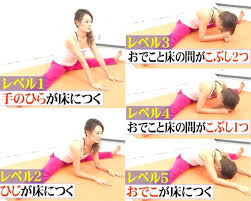「開脚」の画像検索結果