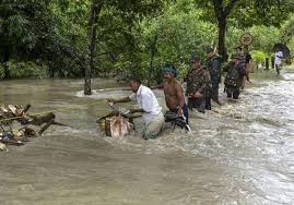 Assam is a land of blue hills, green valleys and a red river. Assam Flood Death Toll Chief Minister Sarbananda Sonowal India News India Tv