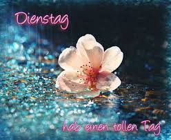 Wir verraten euch tricks, mit denen ihr der überwachung durch die blauen häkchen entkommen könnt. Schonen Dienstag Bilder Gratis Gif Bilder Und Spruche Fur Whatsapp Und Facebook Kostenlos