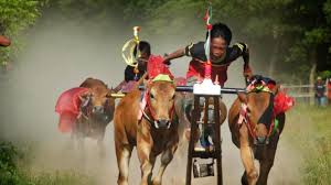 Sehingga indonesia mempuyai budaya yang sangat beragam. Sepuluh Budaya Unik Yang Hanya Ada Di Indonesia