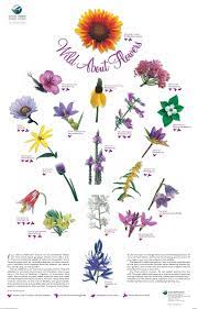 If you would like your flowers to be delivered in a vase please make sure to add the product in a second step the buying process. Flowers Canada Edible Flowers Wildflower Garden Ideas