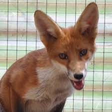 Hunt Monitors (@hunt.monitors.1) • Facebook