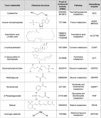 21 kitchen design trends we predict will be huge for 2021. Panel Of Toxic Metabolites And Putative Detoxifying Enzymes Tested A Download Scientific Diagram