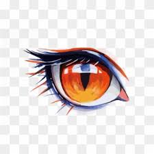 If you want to draw wolf pup follow our tutorial step by step for the perfect picture. Watercolor Painting Drawing Eye Anime Wolf Eye Drawing Hd Png Download 1500x977 1742355 Pngfind