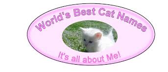 Disney character names are always a hit, especially with young kids. K Cat Names Rare And Unique Cat Names