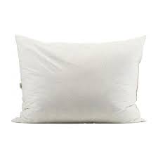 Il suffit de choisir la taille qui convient: Coussin Garniture En Plume Interieur De Coussin Plume