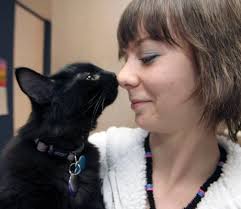 New pet licensing in Innisfail