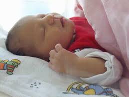 Baby animals, and squeaky baby bath: Moro Reflex What Is It And How Can Swaddling Help Nested Bean