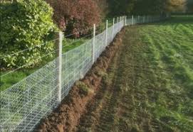 Keep your pet healthy and safe. Affordable Dog Fencing What Are The Options Dogfence