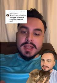 Spitz Alemão Anão Antes Durante E Depois Da Troca De Pelo