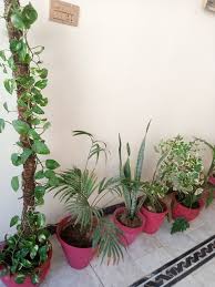 Missing to post here ❤️❤️🙏🏽🙏🏽🇵🇭