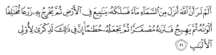 Ucapan جَزَاكَ اللهُ خَيْرًا (jazakallahu khairan). Al Quran English Translation Surah Az Zumar