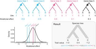 A Multispecies Coalescent Model For Quantitative Traits Elife