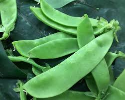 Image result for Pisum sativum