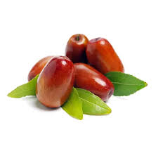 نهال عناب گلابی