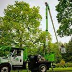 Find a fedex location in decatur, ga. Tree Services In Decatur Tree Services Atlanta Tree Removal In Atlanta Ga Tree Trimming Pruning Savatree