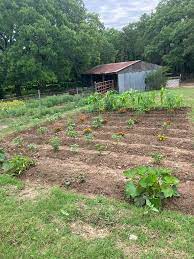 Grandmother and grandson build roadside vegetable stand together