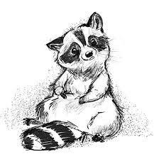 Thoughtful Raccoon Raccoon Illustration Raccoon Art Raccoon Drawing