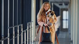 In april 2019, american airlines' pet policy requirements for emotional support animals were revised. Guide To Plane Travel With Your Pup Etias Com