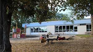 Übernachtung mit der mäusebande im kindergarten. Ausschuss In Pohlheim Fur Ausbau Der Kindergarten Pohlheim