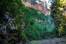 As the park is only 2 hours from sydney, city dwellers enjoy going there for a weekend getaway. Wentworth Falls Spektakulare Blue Mountains Wanderung Wasserfalle Steilwande Passenger On Earth