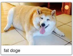 Enjoy the meme 'sad fat doge' uploaded by nobutseriously. Fat Doge Blank Template Imgflip
