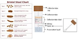 Urban Arch Expands Sample Collection And Assessment Methods