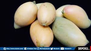 Berikut ini beberapa kosakata yang bisa dipilih dan dijadikan sebagai inspirasi untuk memberikan nama bagi buah hati anda jihan: Nama Nama Buah Dalam Bahasa Arab Dan Arti Bahasa Indonesia Ada Video Bacaan Yuk Belajar Di Sini Sriwijaya Post