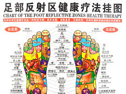 Ints Of Human Body Wall Chart Therapy Foot Reflection Health
