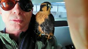 Can I restring a P Bass with straightened flatwounds?