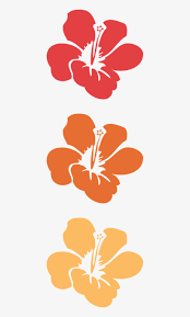 We did not find results for: 3drose Orange Hibiscus Flower Hawaiian Floral Tropical Transparent Png 640x1280 Free Download On Nicepng