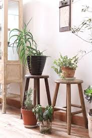 おしゃれな置き方がカギ 観葉植物をセンス良く飾るインテリアの基本 rafuju mag 植物の装飾 観葉植物 グリーン インテリア