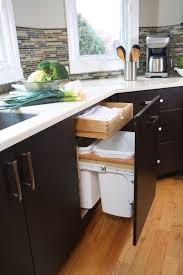 hide pull out trash bins in your cabinetry