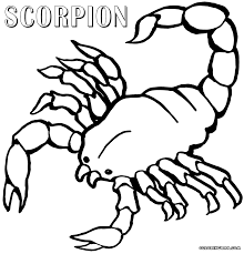 Check spelling or type a new query. Scorpions Coloring Pages Coloring Home