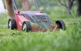 It is perfect for properties up to 1/2 acre. Mulching Vs Side Discharge Which Is Better For Your Lawn Pepper S Home Garden