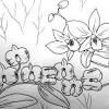 How to draw mango fruit coloring pages for kids. 1