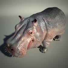 3d Model Hippo C4d Obj 3ds Fbx Ma Lwo 86934 3d Model Hippo Model