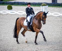 Hela fyra år på raken vann hon mellan 1994 och 1998. Bloodline Analysis Westfalen Emilio Dressage Today