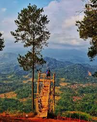 Hutan ini menawarkan sensasi liburan di alam dengan udara yang sejuk dan segar tentunya. 10 Tempat Wisata Di Kuningan Terbaru Yang Lagi Hits