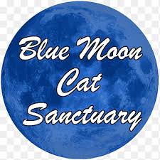 1 eyes on the prizes (given by rinling). Bel Air Sticker Decal The Lebanese Way Durban Retired Blue Text Png Pngegg