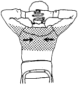 For those of you who spend long hours slouched in a chair in front of your computer, typing for hours with your arms and wrists in. Computer And Desk Stretches